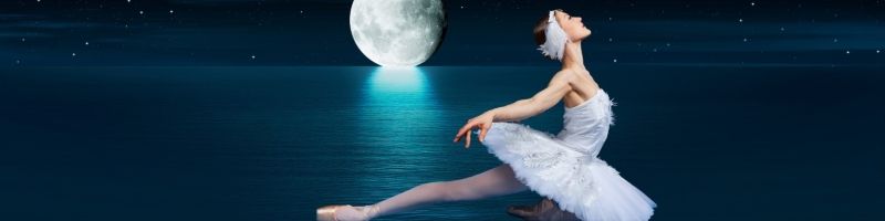 Review: NUTCRACKER SPECTACULAR at Robinson Center Review: NUTCRACKER SPECTACULAR at Robinson Center Image