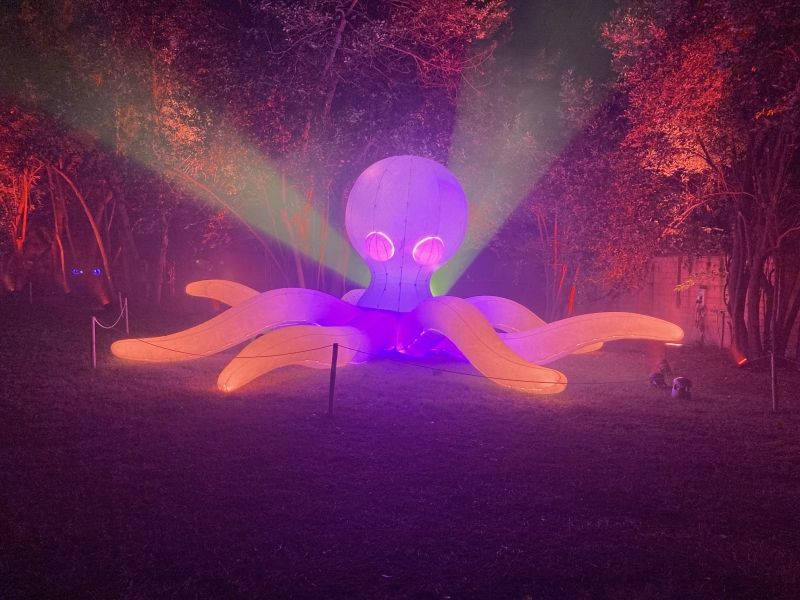 Feature: LIGHTS IN NATURE ai GIARDINI DI PALAZZO BRANCACCIO  Image