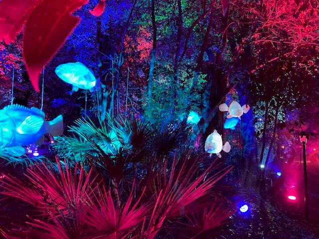 Feature: LIGHTS IN NATURE ai GIARDINI DI PALAZZO BRANCACCIO  Image
