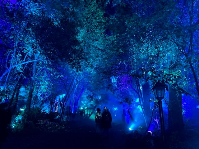 Feature: LIGHTS IN NATURE ai GIARDINI DI PALAZZO BRANCACCIO  Image