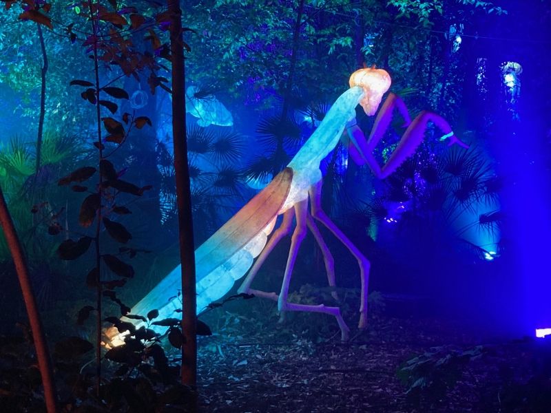 Feature: LIGHTS IN NATURE ai GIARDINI DI PALAZZO BRANCACCIO  Image