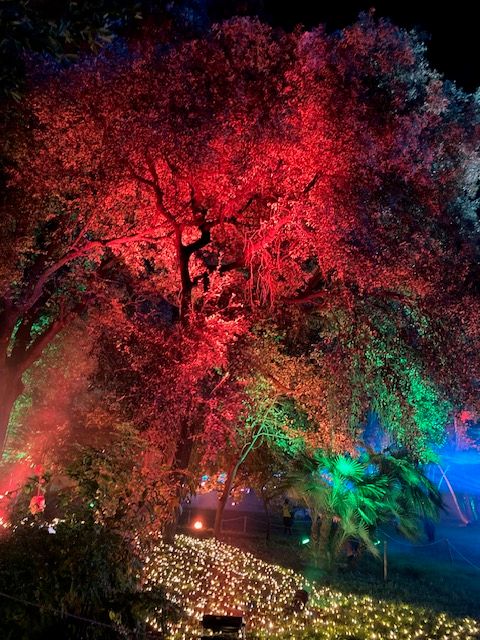 Feature: LIGHTS IN NATURE ai GIARDINI DI PALAZZO BRANCACCIO  Image
