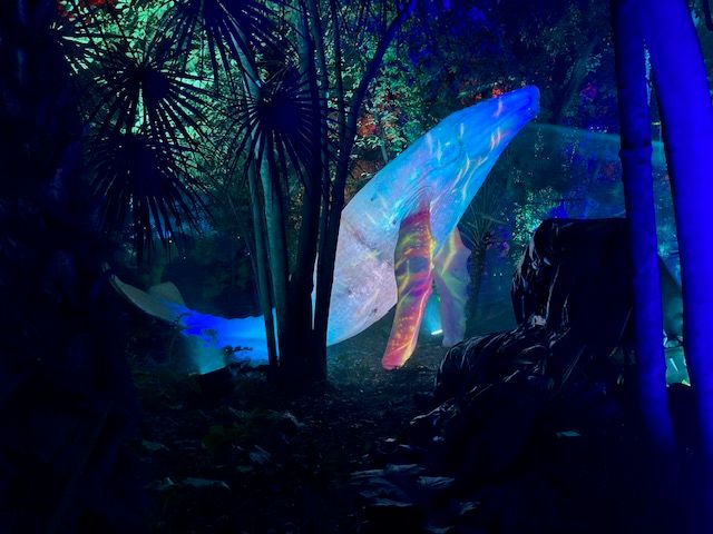 Feature: LIGHTS IN NATURE ai GIARDINI DI PALAZZO BRANCACCIO  Image