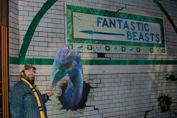 Dan Fogler Photo