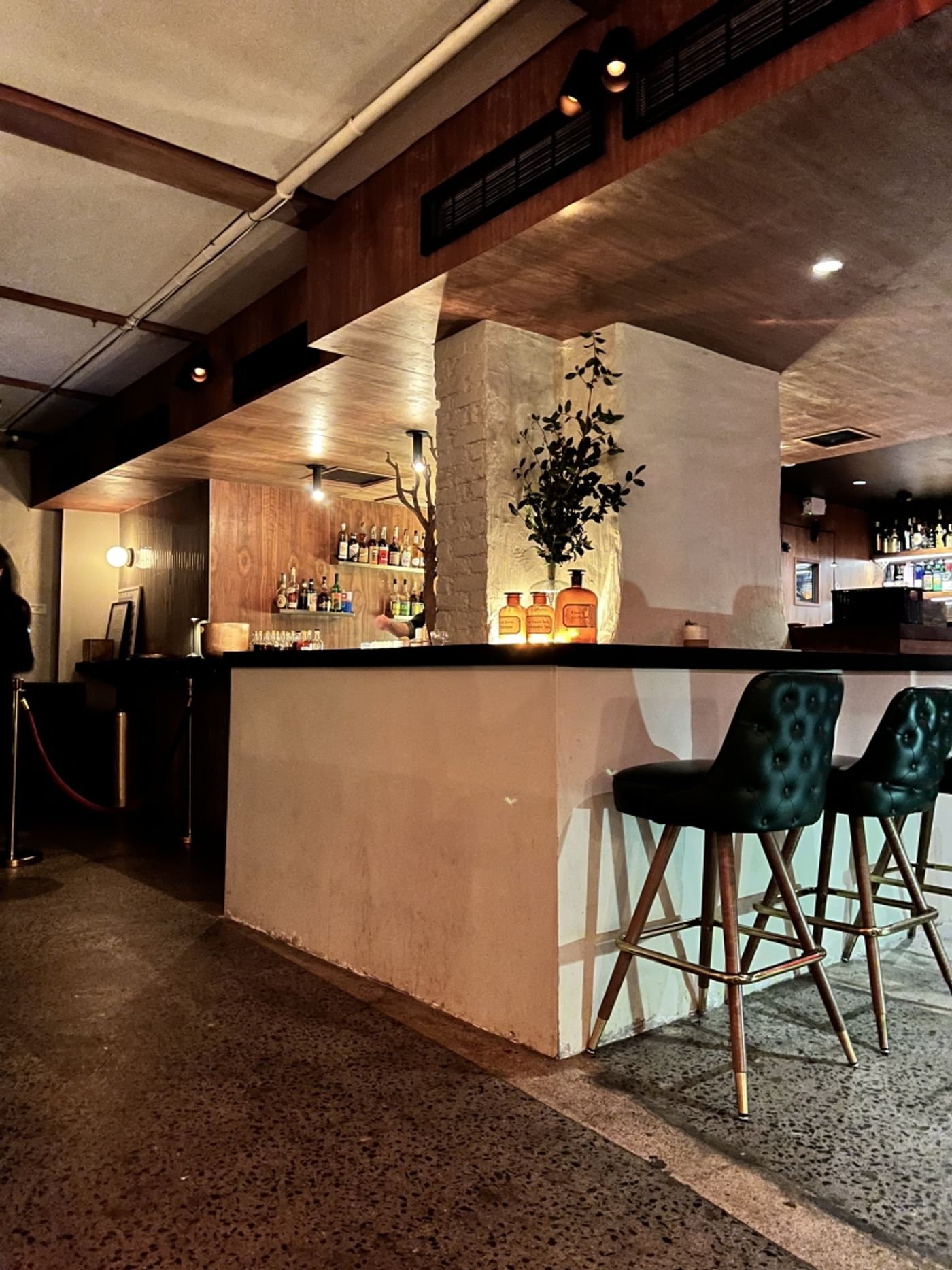 Review: Midnight Plus One: Nolita's Underground Italian Bar Serving Late Night Cocktails, Crudo, and Live Music Review: Midnight Plus One: Nolita's Underground Italian Bar Serving Late Night Cocktails, Crudo, and Live Music Image