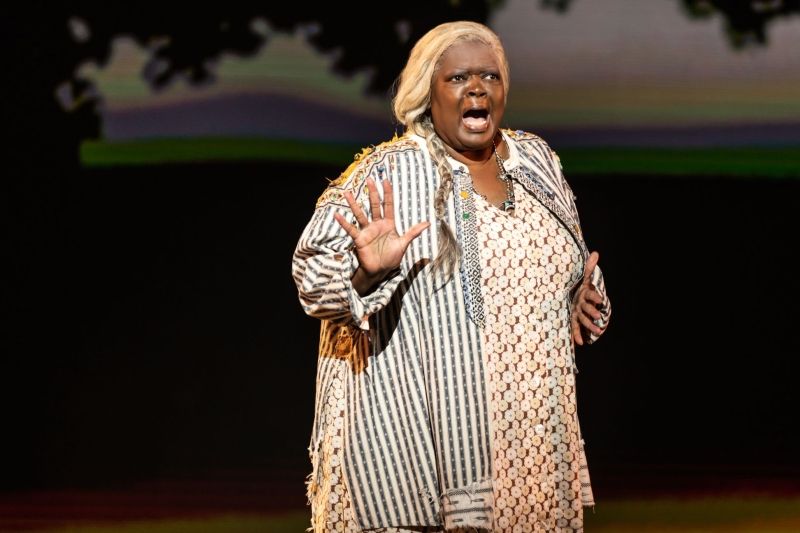 Review: TINA TURNER MUSICAL at Walton Arts Center brings the essence of the Queen of Rock to NWA  Image