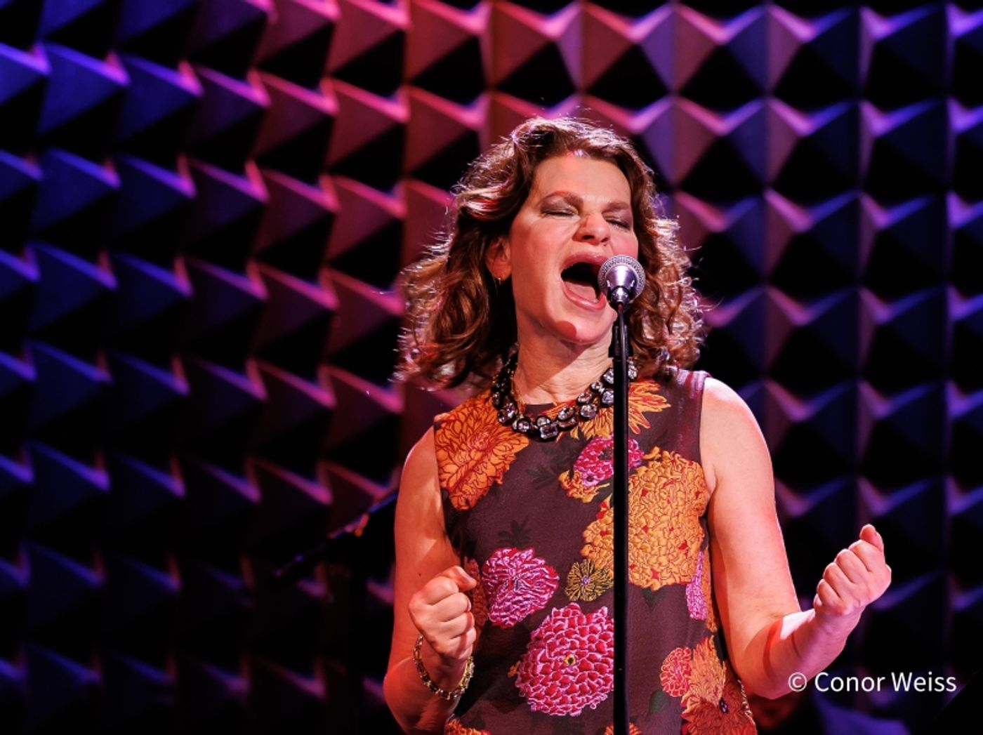 Photos: Sandra Bernhard Opens EASY LISTENING at Joe's Pub Photos: Sandra Bernhard Opens EASY LISTENING at Joe's Pub Image