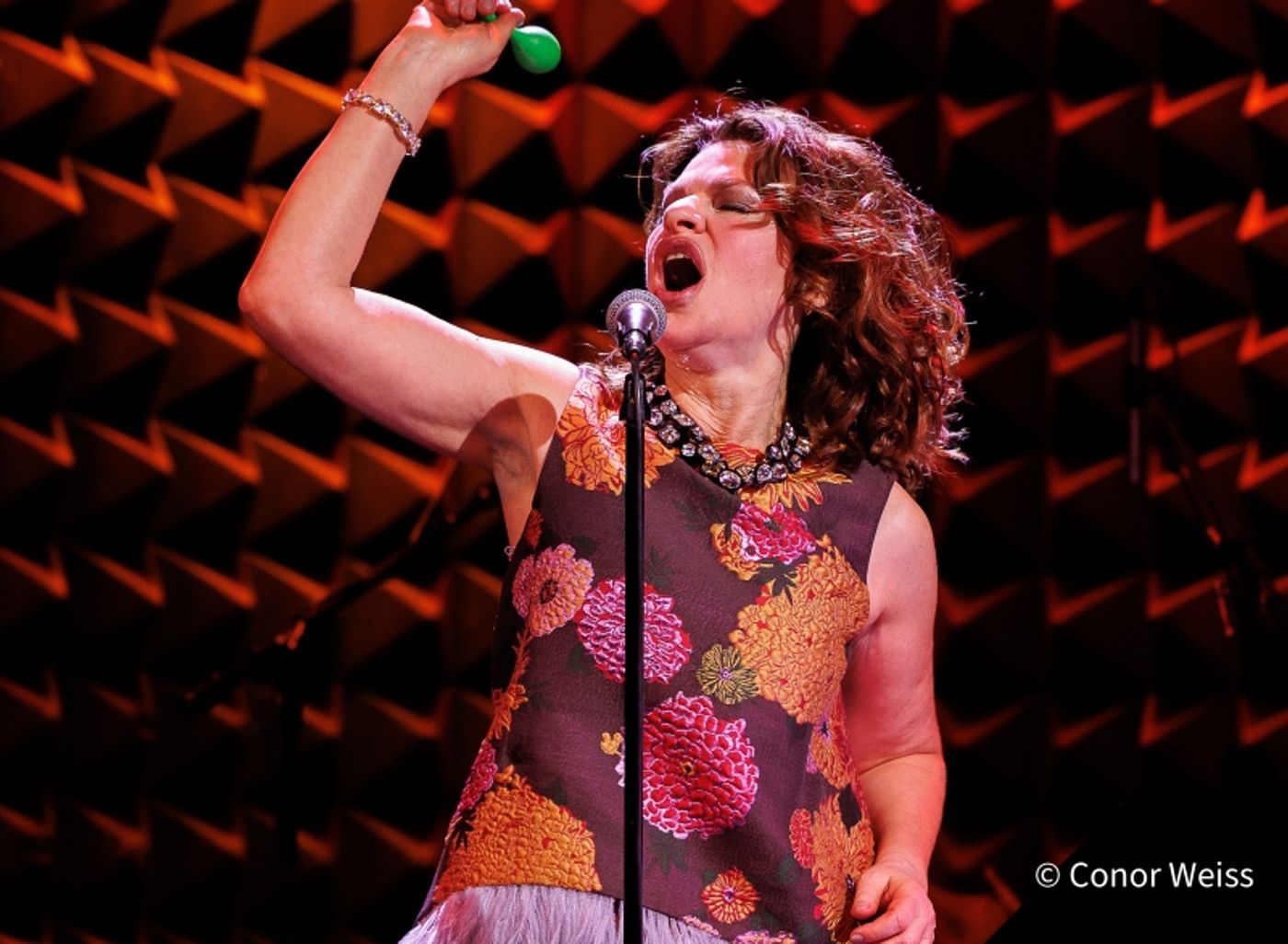 Photos: Sandra Bernhard Opens EASY LISTENING at Joe's Pub Photos: Sandra Bernhard Opens EASY LISTENING at Joe's Pub Image