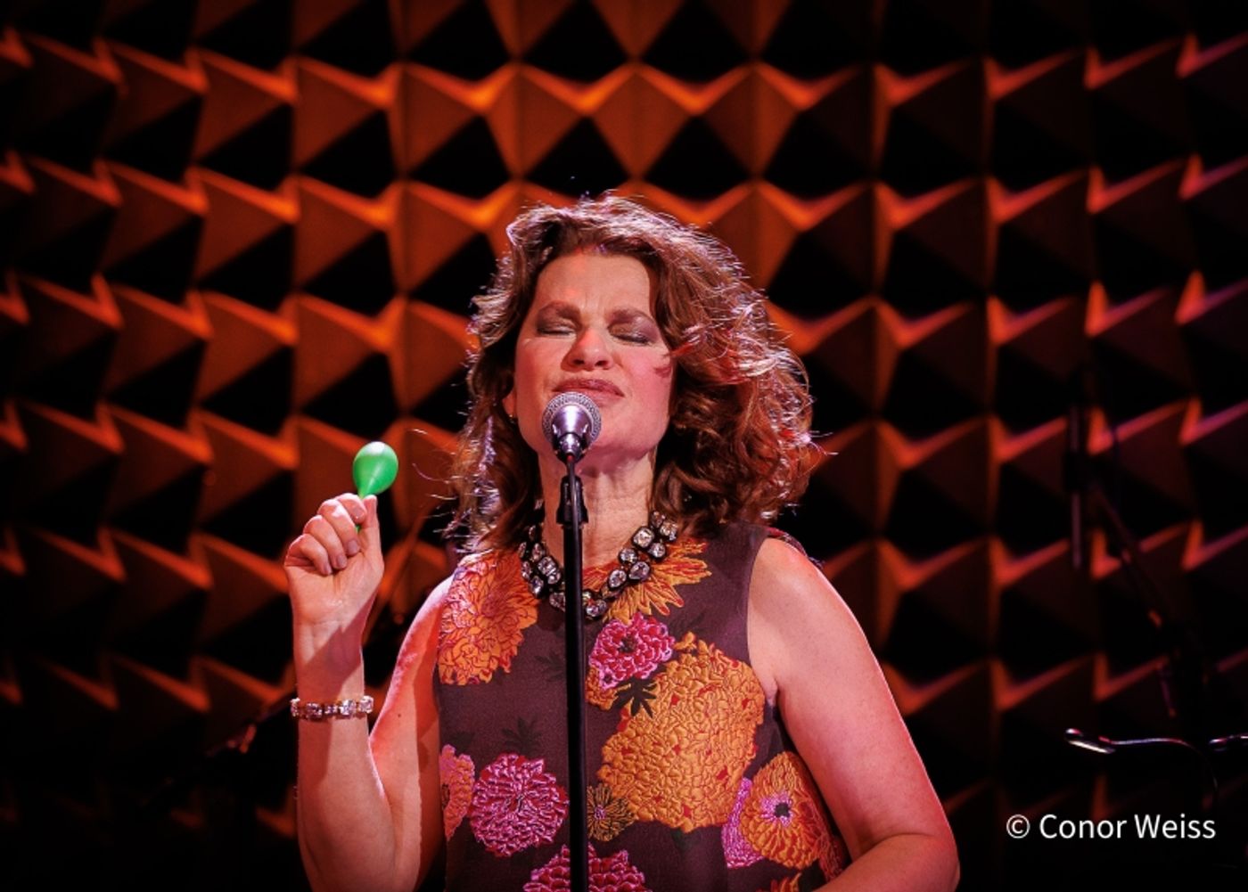 Photos: Sandra Bernhard Opens EASY LISTENING at Joe's Pub Photos: Sandra Bernhard Opens EASY LISTENING at Joe's Pub Image