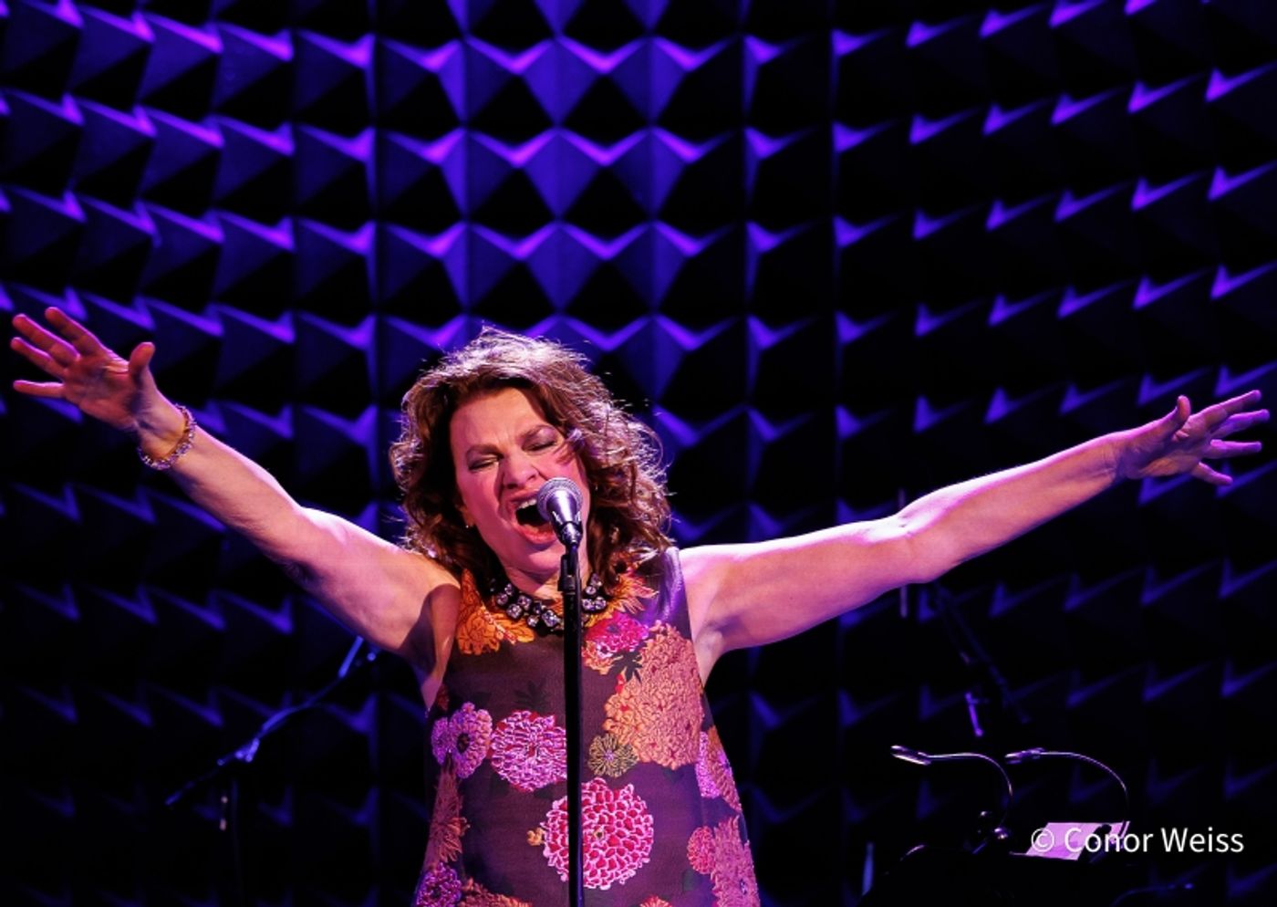 Photos: Sandra Bernhard Opens EASY LISTENING at Joe's Pub Photos: Sandra Bernhard Opens EASY LISTENING at Joe's Pub Image