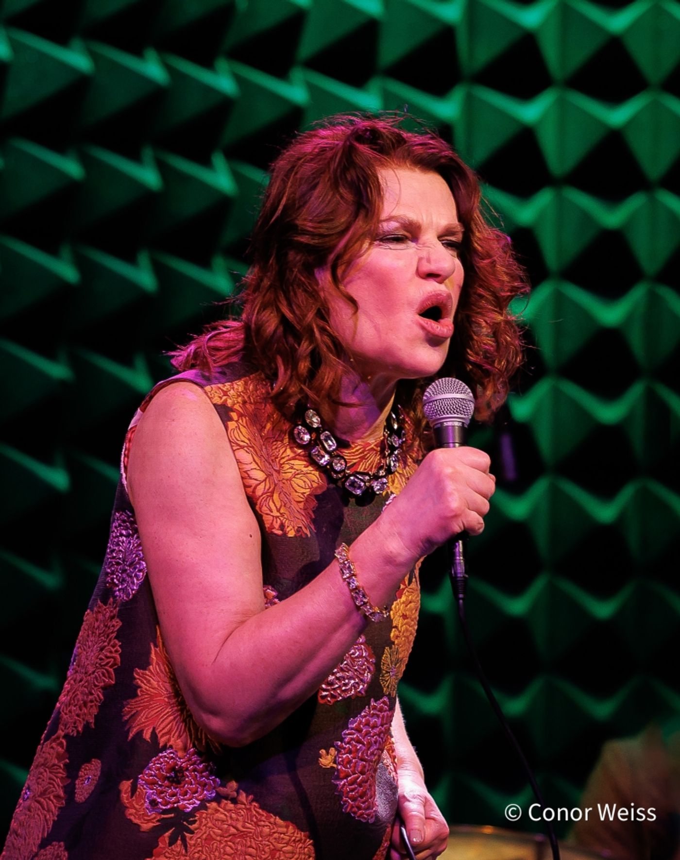 Photos: Sandra Bernhard Opens EASY LISTENING at Joe's Pub Photos: Sandra Bernhard Opens EASY LISTENING at Joe's Pub Image