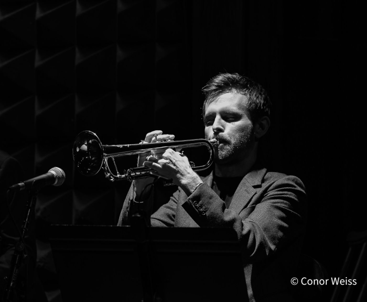Photos: Sandra Bernhard Opens EASY LISTENING at Joe's Pub Photos: Sandra Bernhard Opens EASY LISTENING at Joe's Pub Image