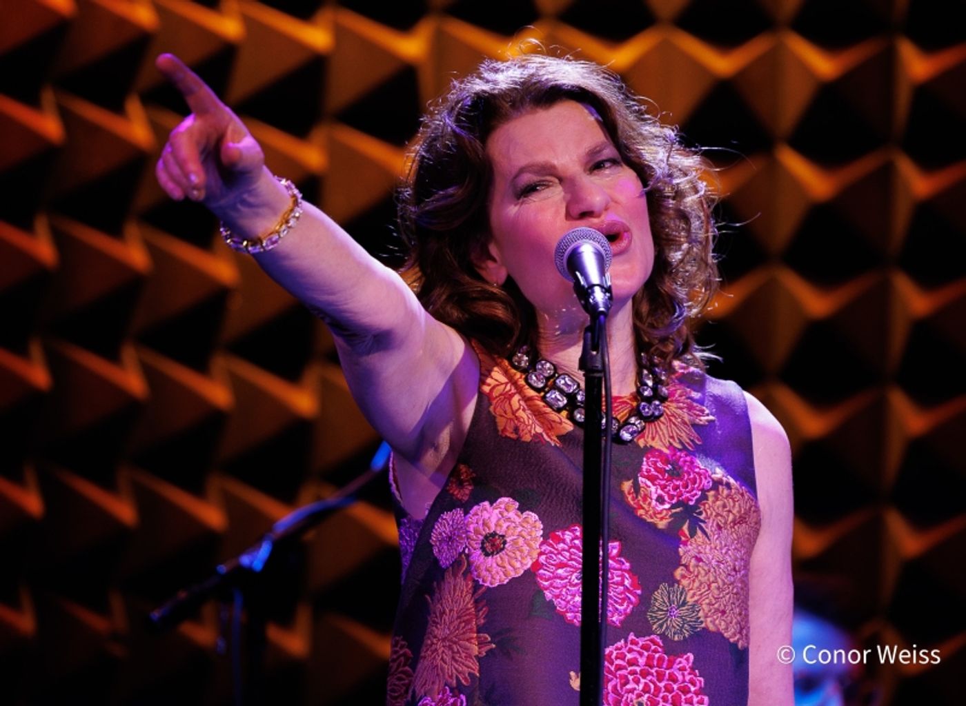 Photos: Sandra Bernhard Opens EASY LISTENING at Joe's Pub Photos: Sandra Bernhard Opens EASY LISTENING at Joe's Pub Image