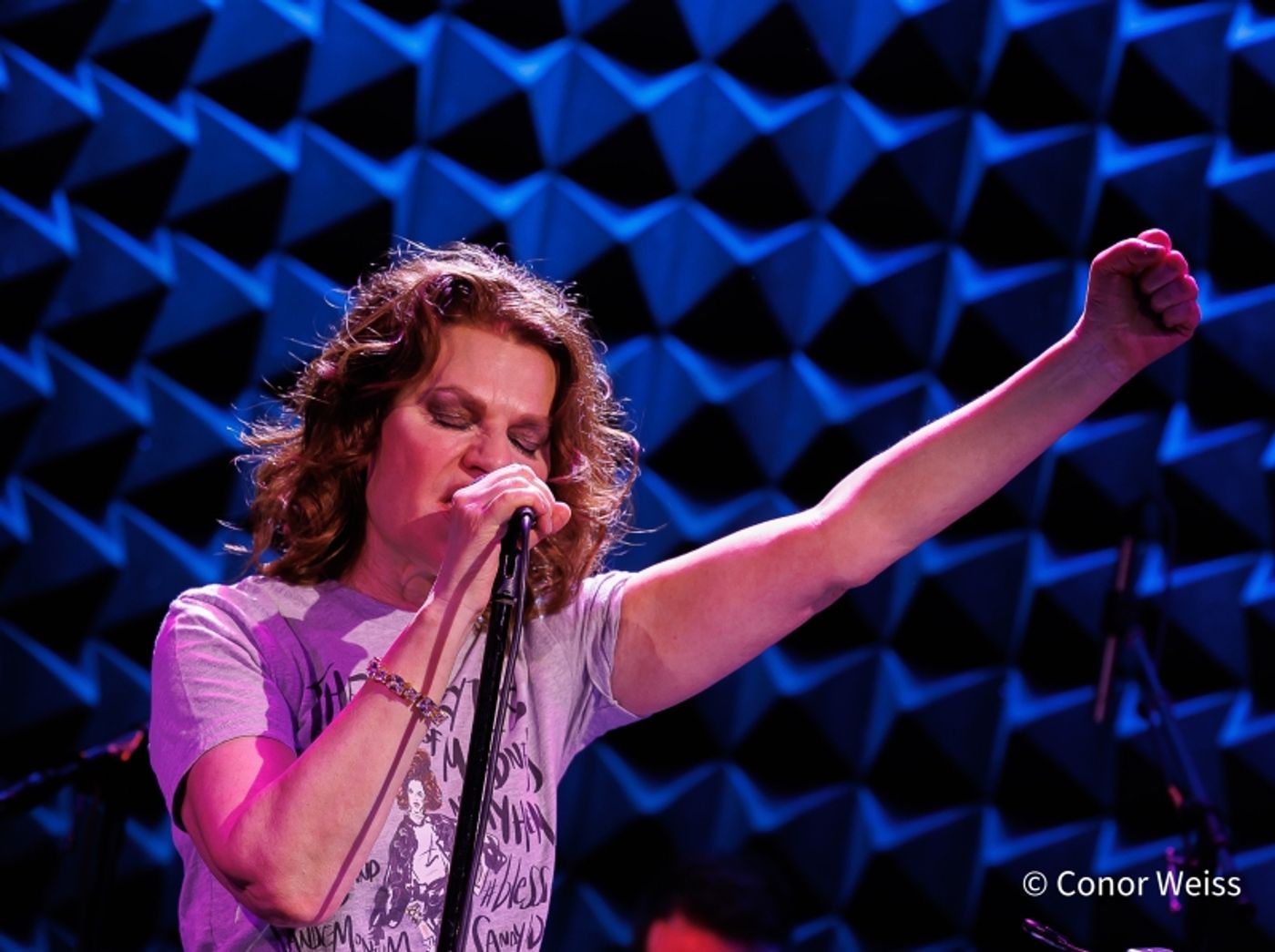 Photos: Sandra Bernhard Opens EASY LISTENING at Joe's Pub Photos: Sandra Bernhard Opens EASY LISTENING at Joe's Pub Image