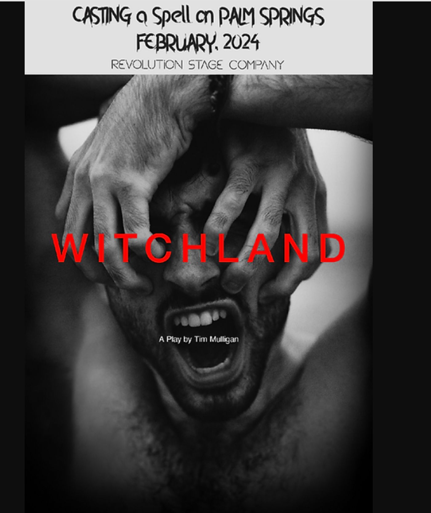 Previews: WITCHLAND at Revolution Stage Company  Image