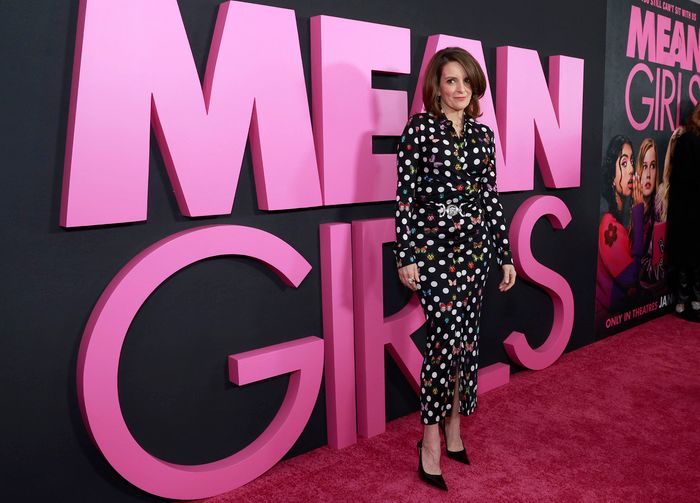 Photos: Inside the MEAN GIRLS Premiere With Tina Fey, Lindsay Lohan, Reneé Rapp & More — photo 55 of 60