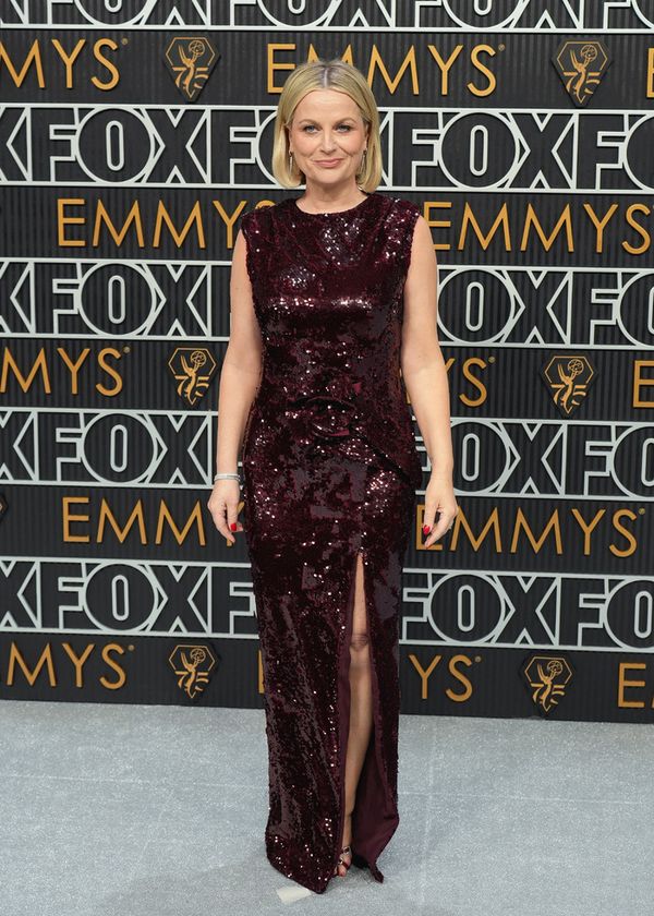 Amy Poehler Photo