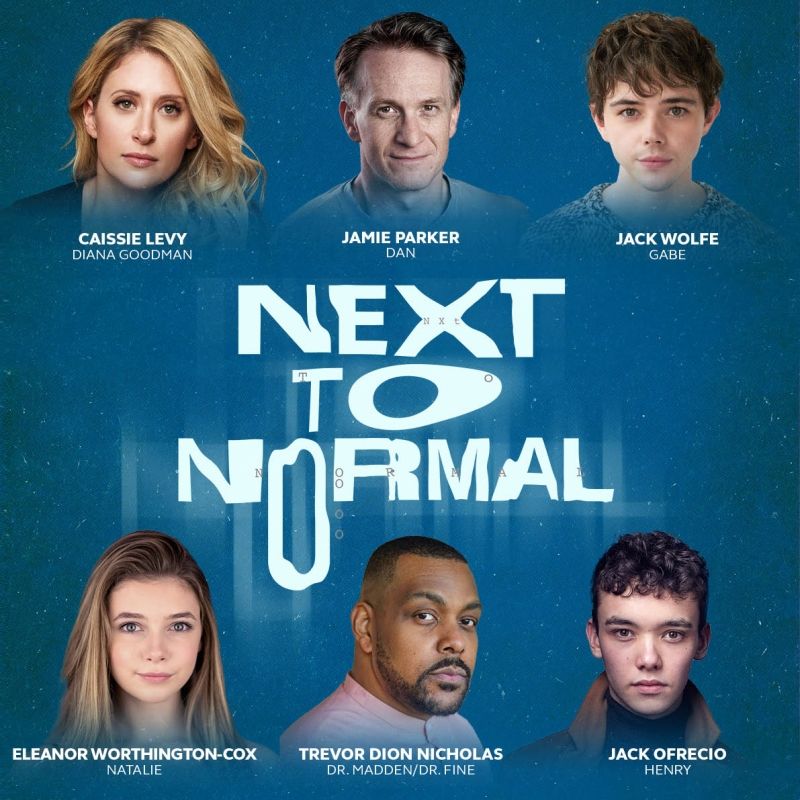 Caissie Levy to Reprise Role in NEXT TO NORMAL West End Transfer  Image