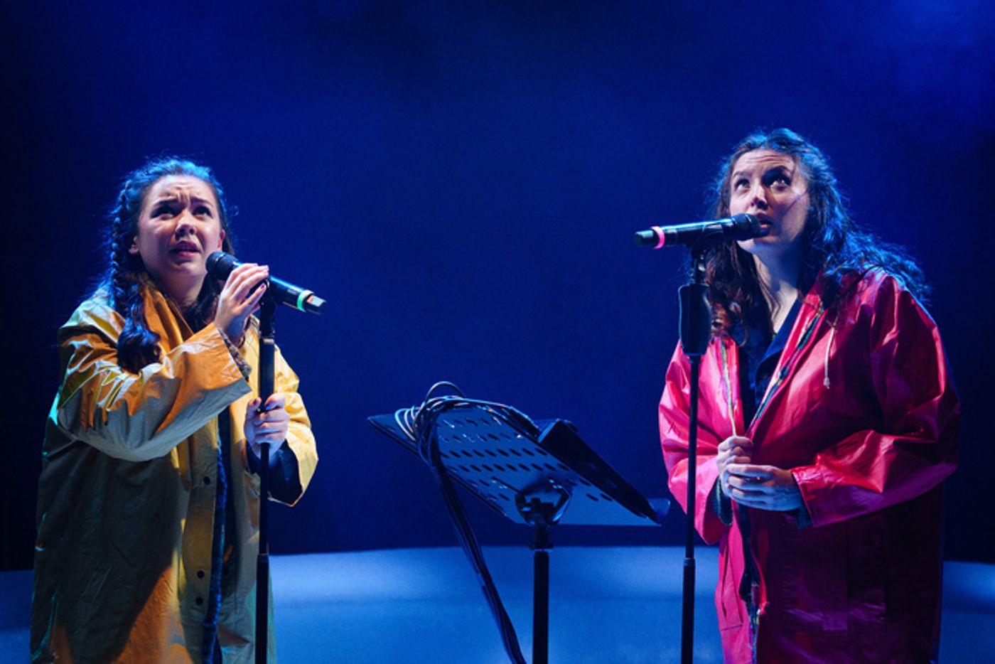 Photos/Video: First Look At the Phoenix Premiere of ISLANDER At Herberger Theater Center  Image