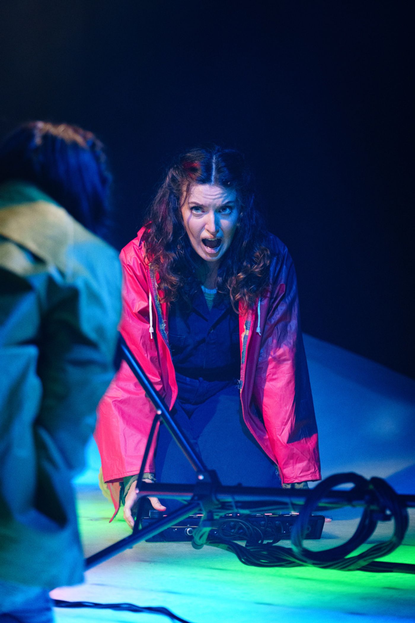 Photos/Video: First Look At the Phoenix Premiere of ISLANDER At Herberger Theater Center  Image