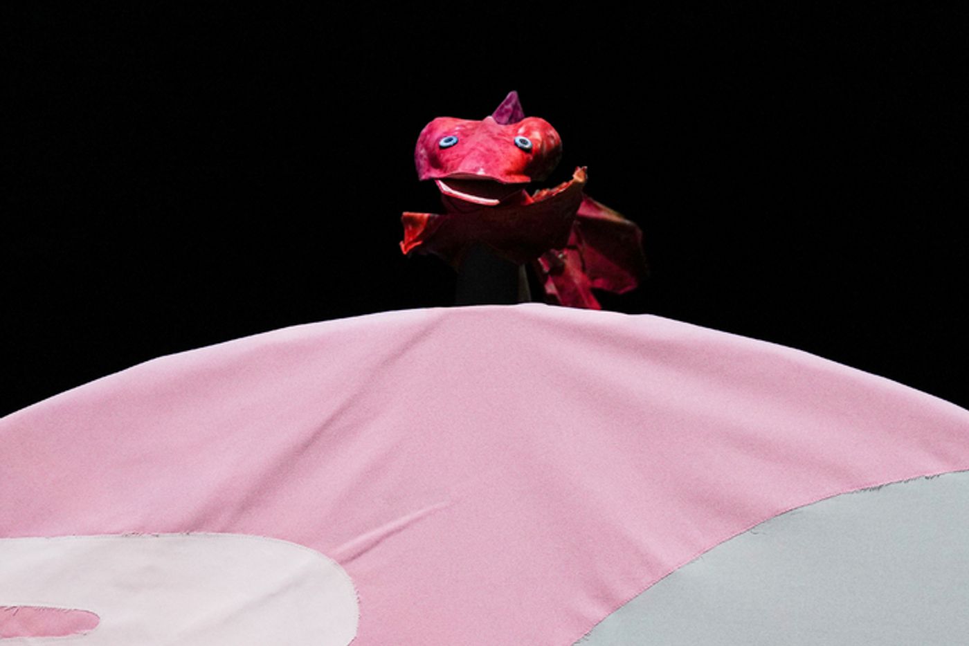 Photos: First Look at THE CARP WHO WOULD NOT QUIT AND OTHER ANIMAL STORIES at Children's Theatre Company Photos: First Look at THE CARP WHO WOULD NOT QUIT AND OTHER ANIMAL STORIES at Children's Theatre Company Image