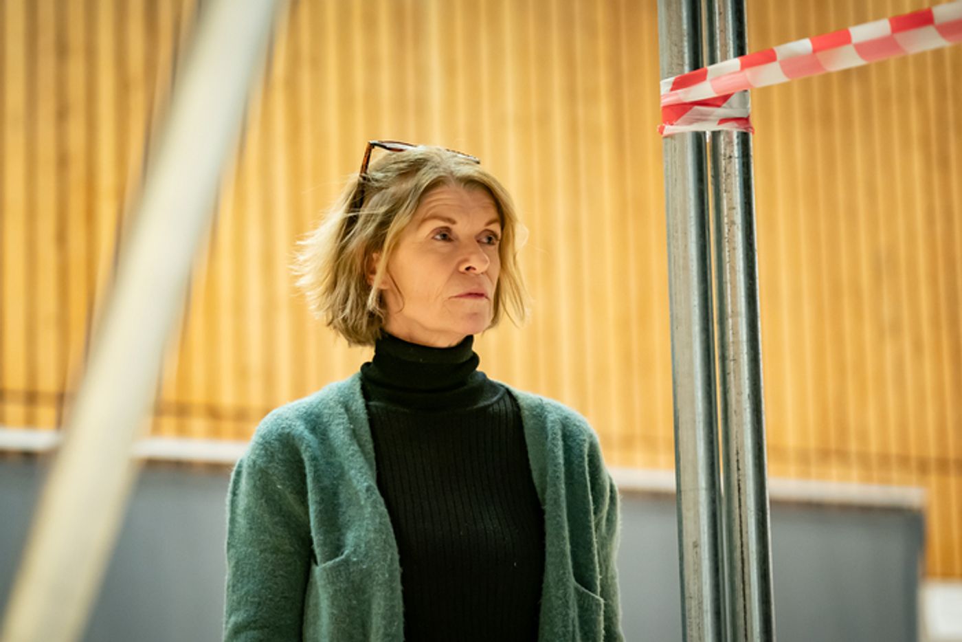 Photos: Rehearsal Images Released for DEAR OCTOPUS at the National Theatre  Image