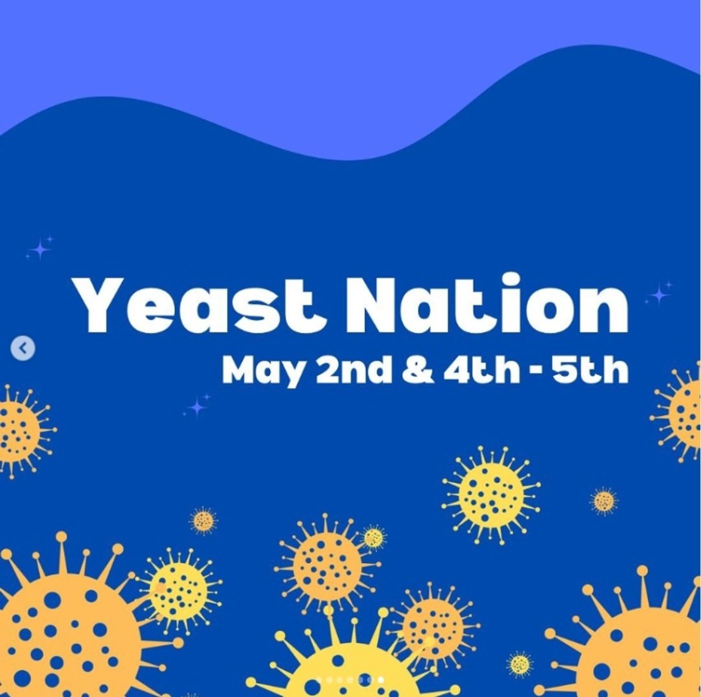 Student Blog: My Spring Semester 2024  Image