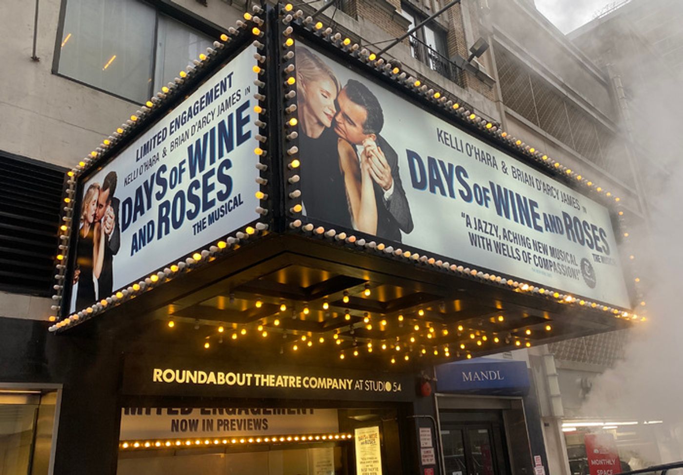Photos: The Cast of DAYS OF WINE AND ROSES Takes Opening Night Bows  Image