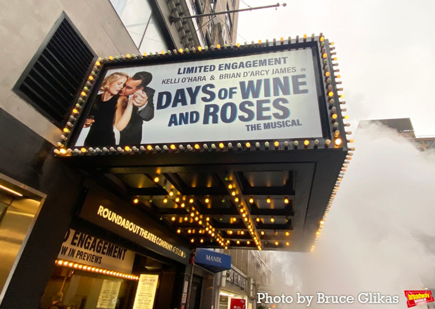 Photos: Company Celebrates Opening Night of DAYS OF WINE AND ROSES  Image