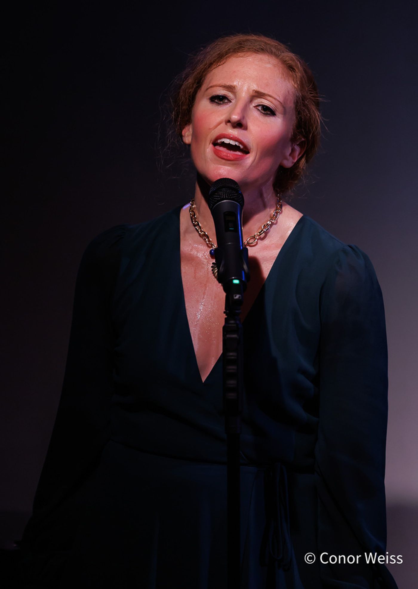 Photos: Marissa Mulder Is Radiant in GIRL TALK at Don't Tell Mama  Image