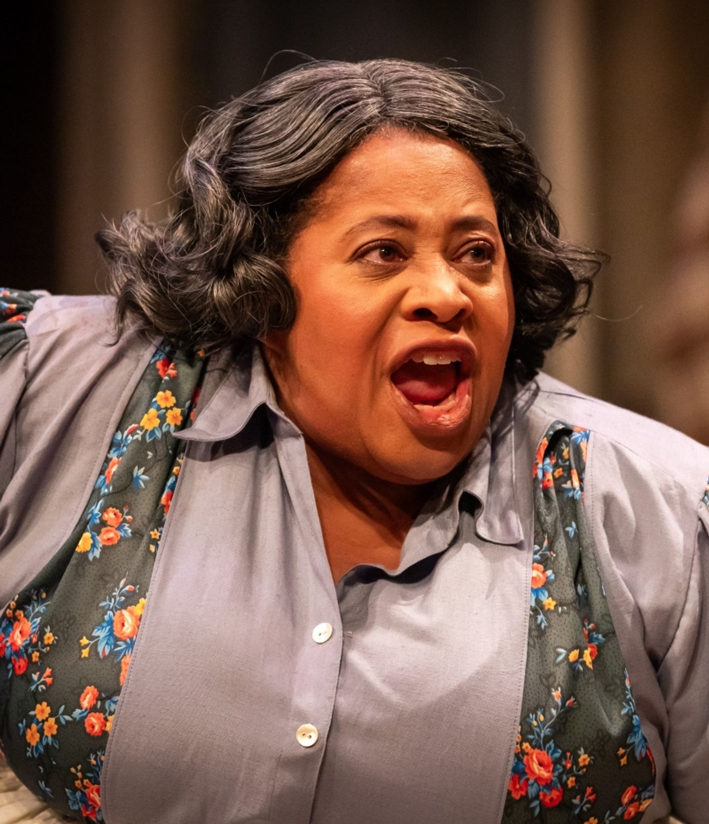 Review: A RAISIN IN THE SUN at Theatre Memphis  Image