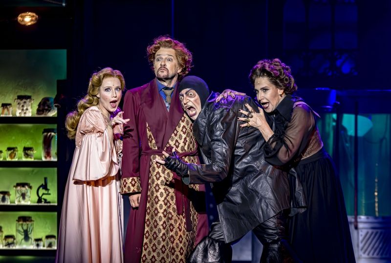 Super Duper: Adapted From Mel Brooks's Cult Movie, Musical O JOVEM FRANKENSTEIN (Young Frankenstein) It's Alive! in Brazil  Image