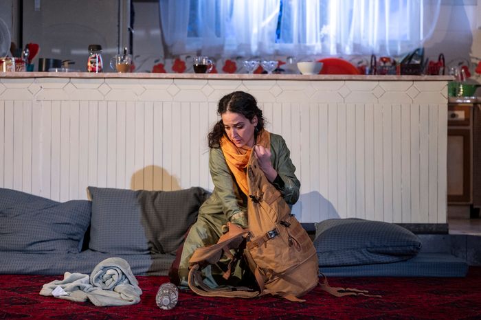 Photos: First Look At Pulitzer Prize-Winning SELLING KABUL At Northlight Theatre — photo 3 of 6