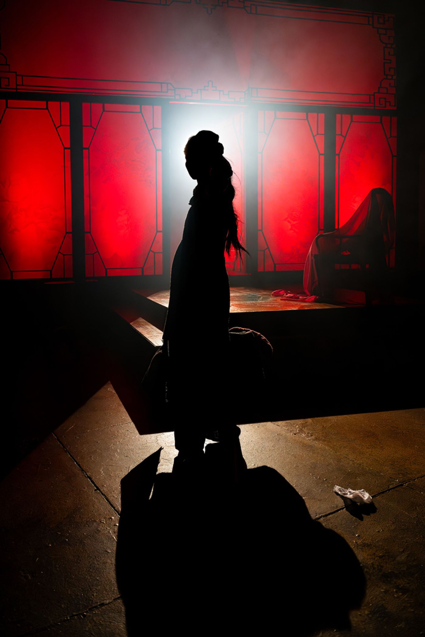 Photos: First Look at THE CHINESE LADY at American Stage  Image