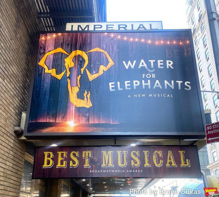 Photos: Meet the Cast of WATER FOR ELEPHANTS on Broadway — photo 36 of 36