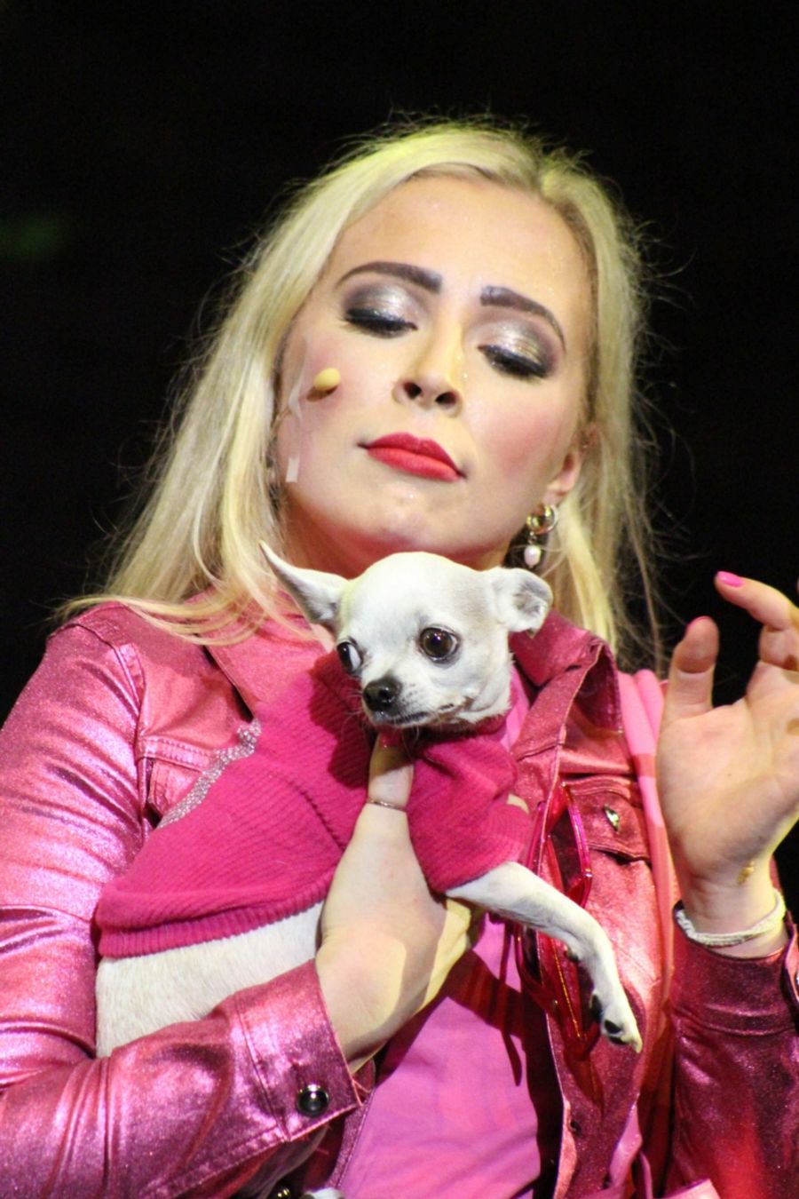 Review: LEGALLY BLONDE THE MUSICAL is a joyful occasion at the Artscape  Image