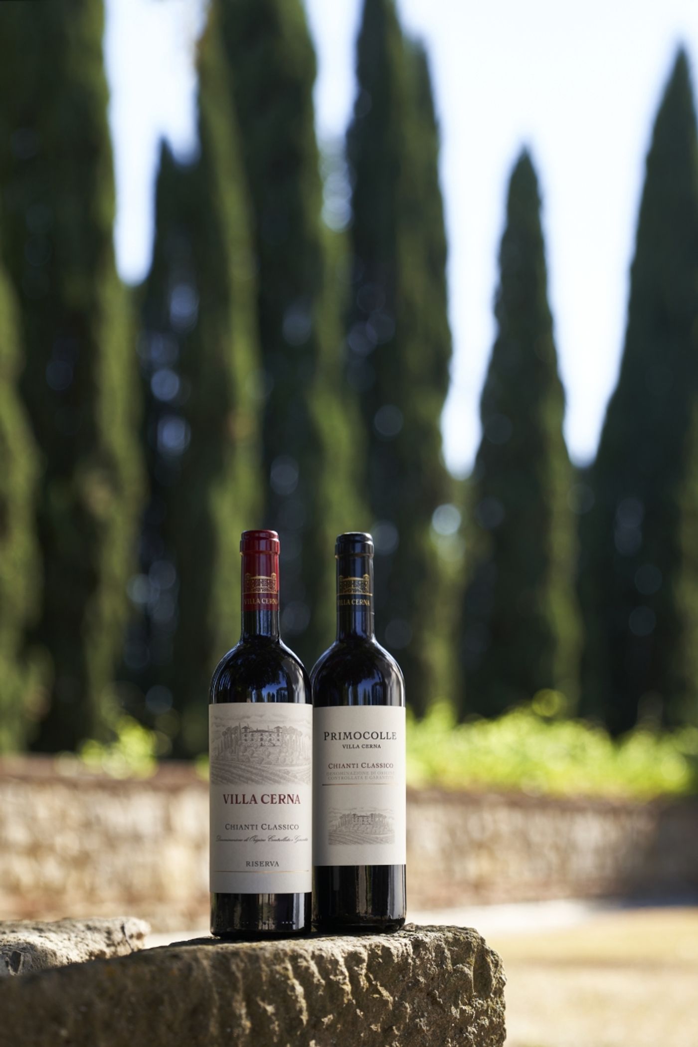 FAMIGLIA CECCHI Produces Top Italian Wines with Passion and Dedication  Image