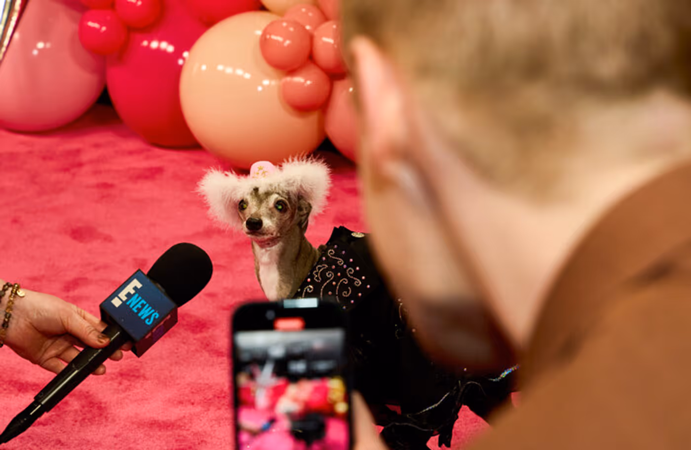 Photos: First Look at DOLLY PARTON'S PET GALA on CBS With Jane Lynch, Iain Armitage & More  Image