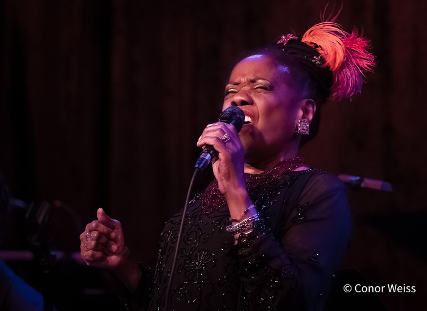 Photos: Jazz legend CATHERINE RUSSELL Brings Her Annual Show Back to Birdland Photos: Jazz legend CATHERINE RUSSELL Brings Her Annual Show Back to Birdland Image