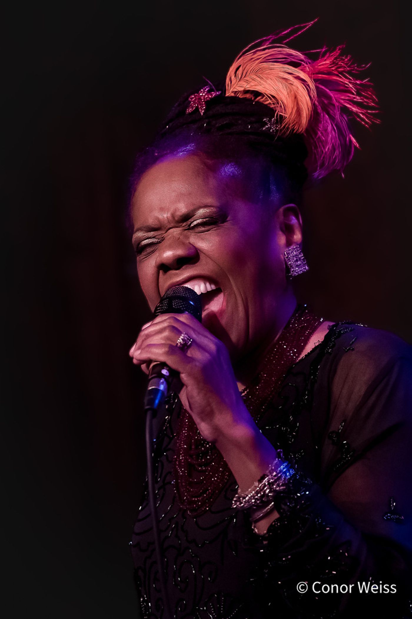 Photos: Jazz legend CATHERINE RUSSELL Brings Her Annual Show Back to Birdland Photos: Jazz legend CATHERINE RUSSELL Brings Her Annual Show Back to Birdland Image