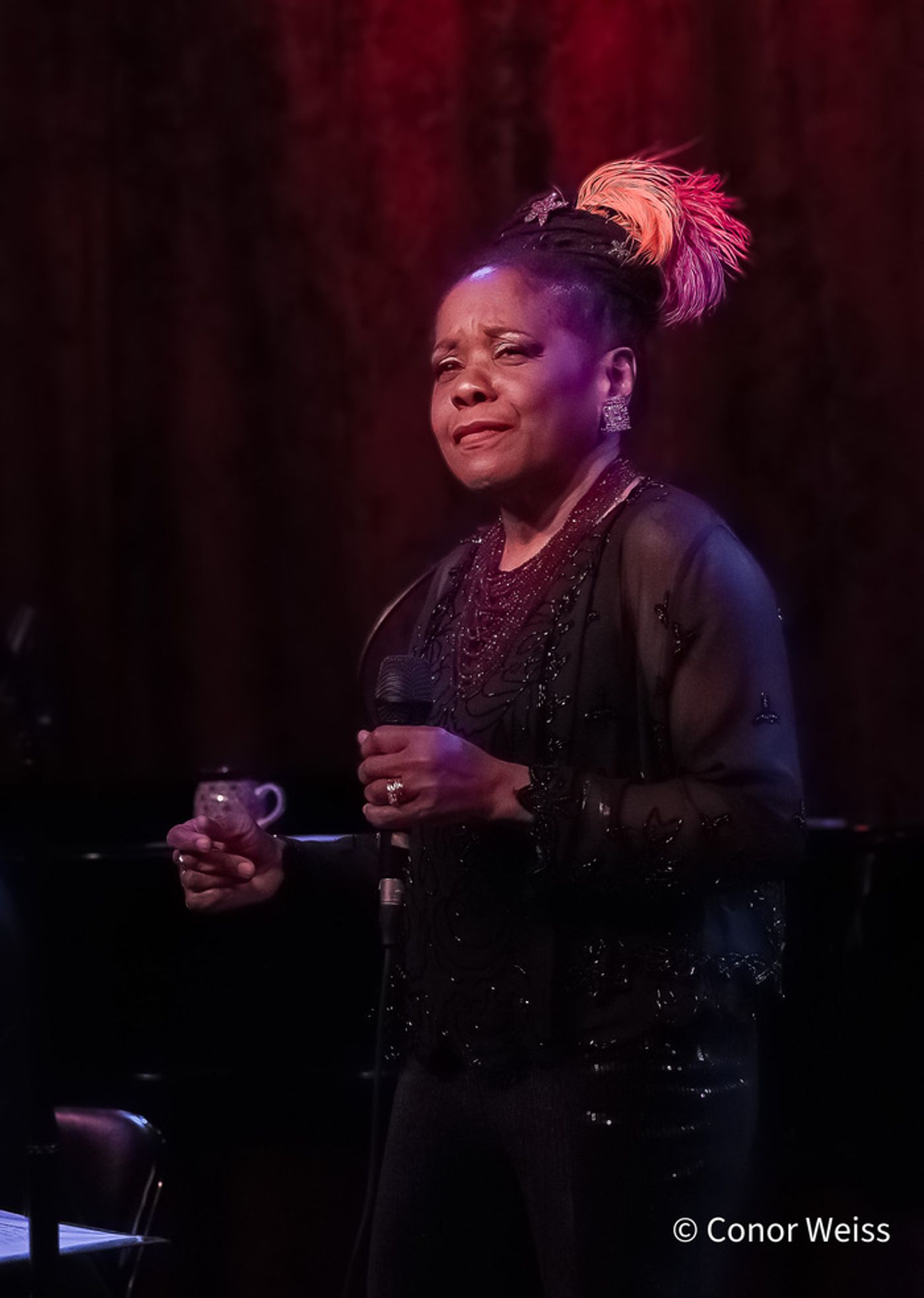 Photos: Jazz legend CATHERINE RUSSELL Brings Her Annual Show Back to Birdland Photos: Jazz legend CATHERINE RUSSELL Brings Her Annual Show Back to Birdland Image