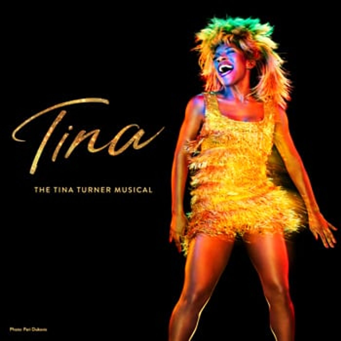 TINA: THE TINA TURNER MUSICAL Dazzles Nashville Audiences With Tribute to 'The Queen of Rock and Roll'  Image
