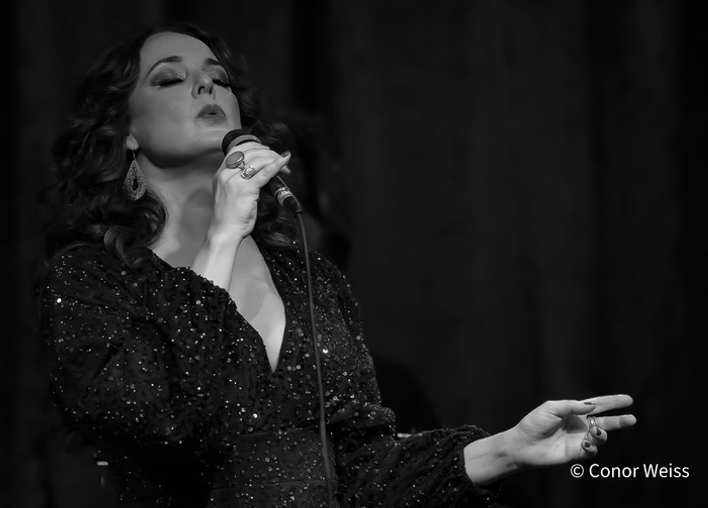 Photos: Melissa Errico Sings the Classics in A MANHATTAN VALENTINE at Birdland Photos: Melissa Errico Sings the Classics in A MANHATTAN VALENTINE at Birdland Image