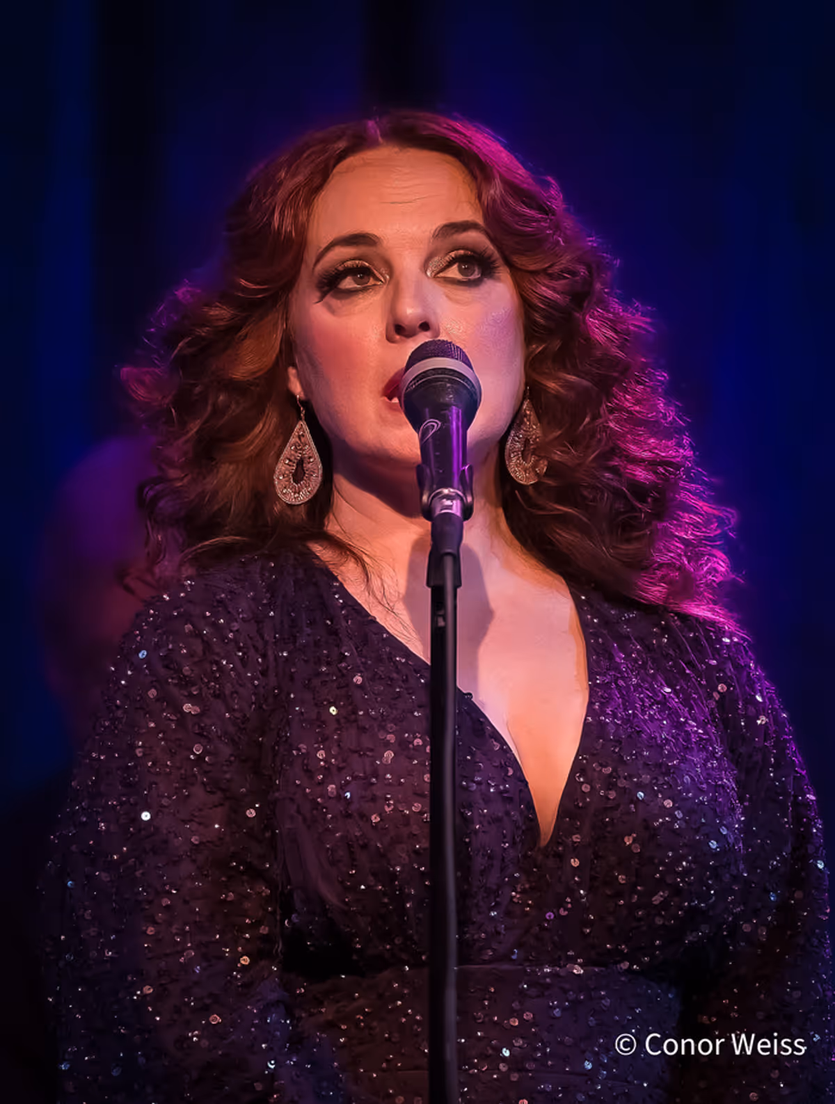 Melissa Errico. Photo Credit: Conor Weiss at Photos: Melissa Errico Sings the Classics in A MANHATTAN VALENTINE at Birdland