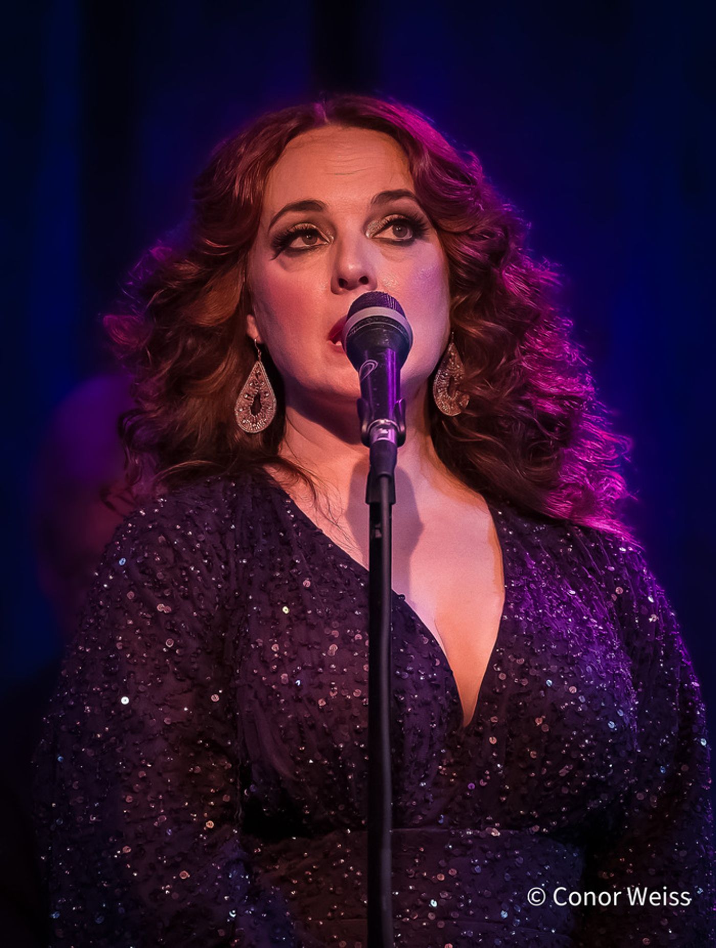 Photos: Melissa Errico Sings the Classics in A MANHATTAN VALENTINE at Birdland Photos: Melissa Errico Sings the Classics in A MANHATTAN VALENTINE at Birdland Image