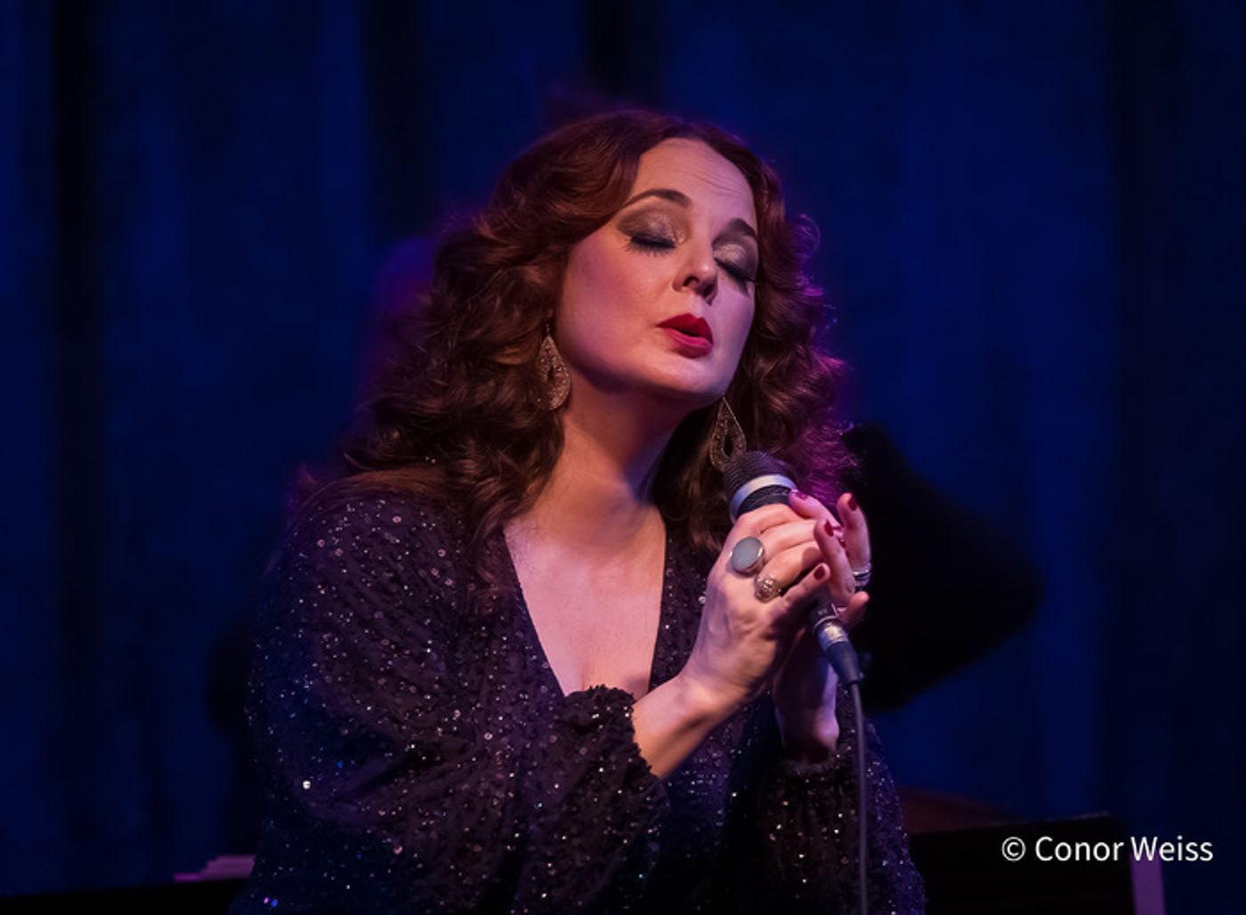 Photos: Melissa Errico Sings the Classics in A MANHATTAN VALENTINE at Birdland Photos: Melissa Errico Sings the Classics in A MANHATTAN VALENTINE at Birdland Image