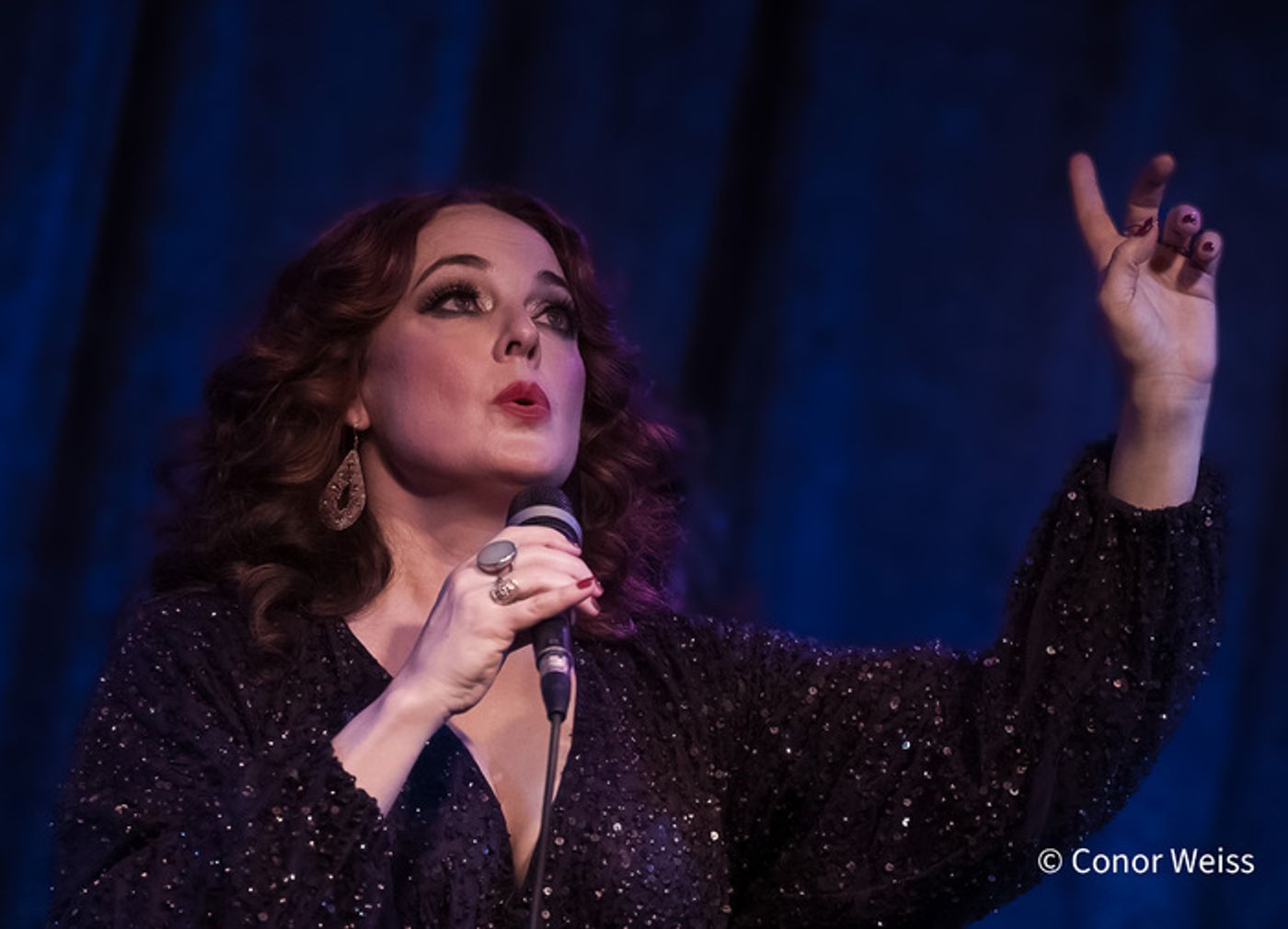 Photos: Melissa Errico Sings the Classics in A MANHATTAN VALENTINE at Birdland Photos: Melissa Errico Sings the Classics in A MANHATTAN VALENTINE at Birdland Image