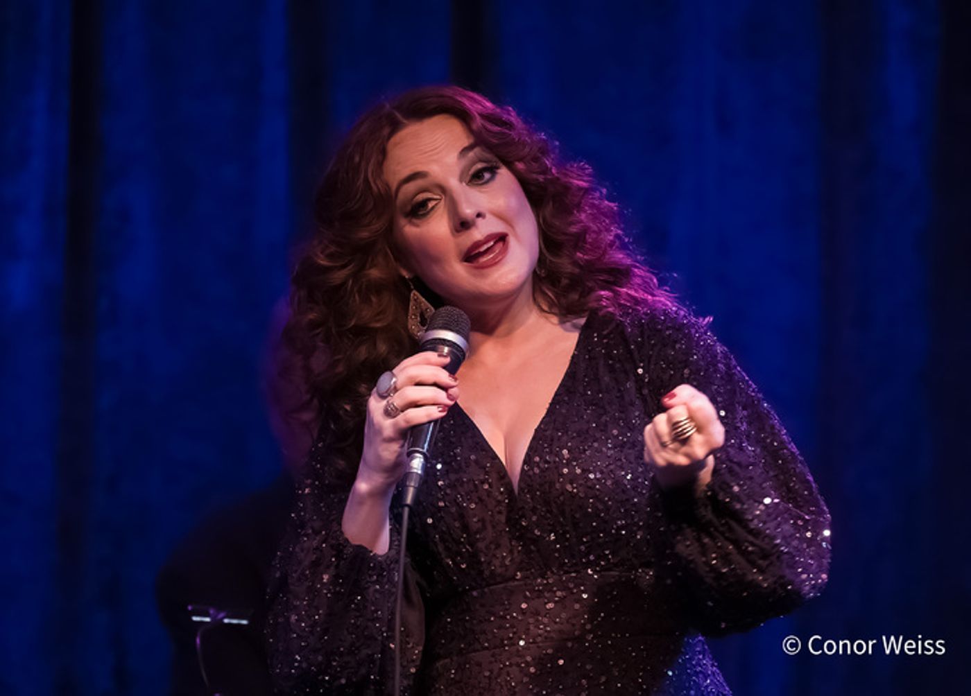 Photos: Melissa Errico Sings the Classics in A MANHATTAN VALENTINE at Birdland Photos: Melissa Errico Sings the Classics in A MANHATTAN VALENTINE at Birdland Image