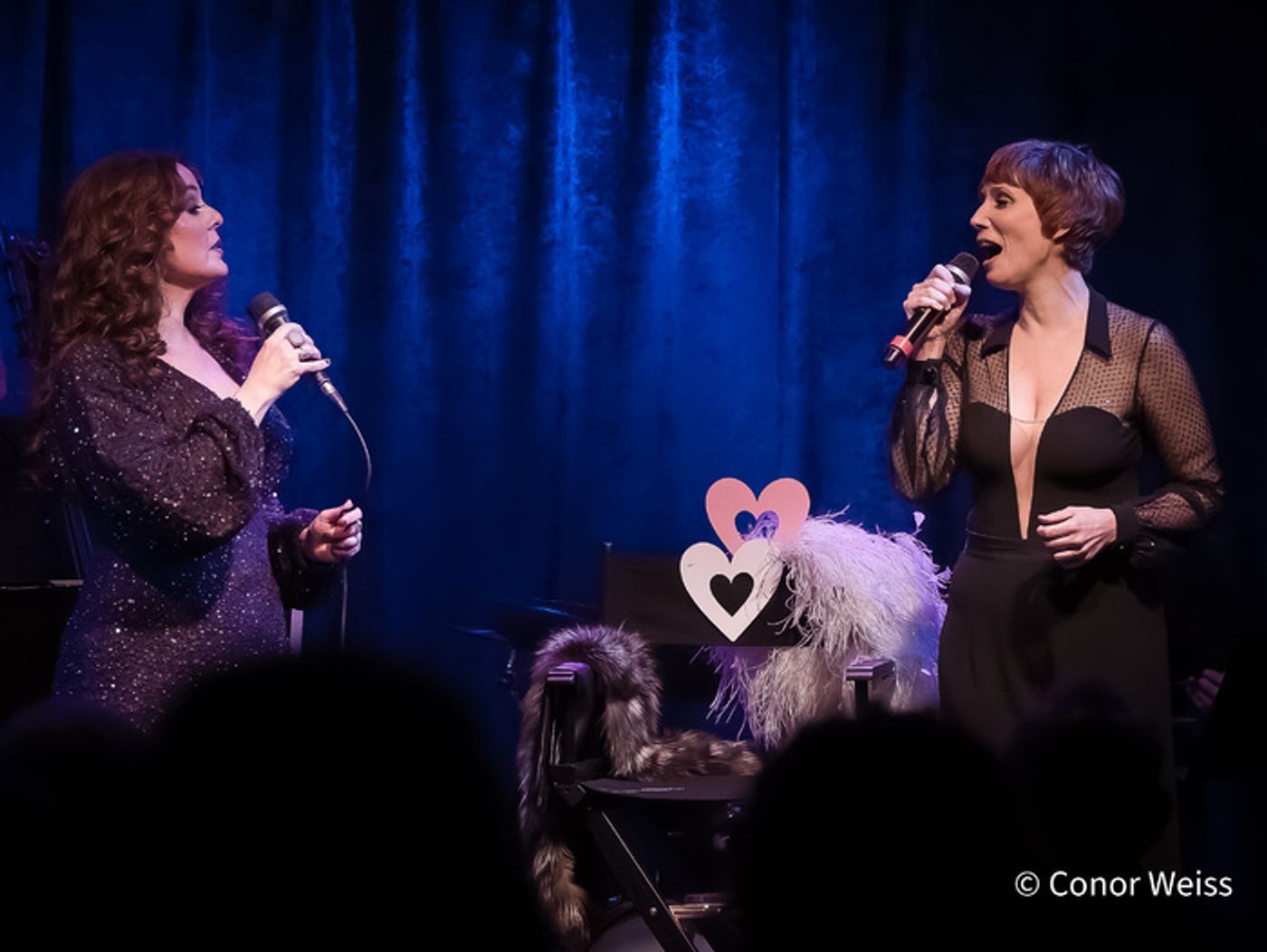 Photos: Melissa Errico Sings the Classics in A MANHATTAN VALENTINE at Birdland Photos: Melissa Errico Sings the Classics in A MANHATTAN VALENTINE at Birdland Image