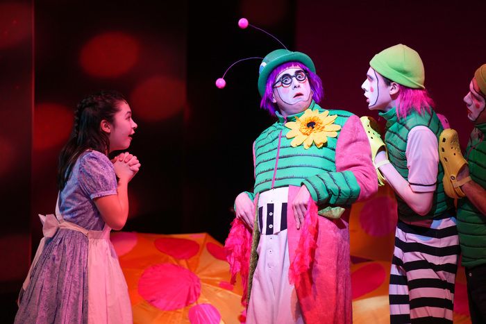 Photos: First Look at Children's Theatre Company's ALICE IN WONDERLAND — photo 8 of 54